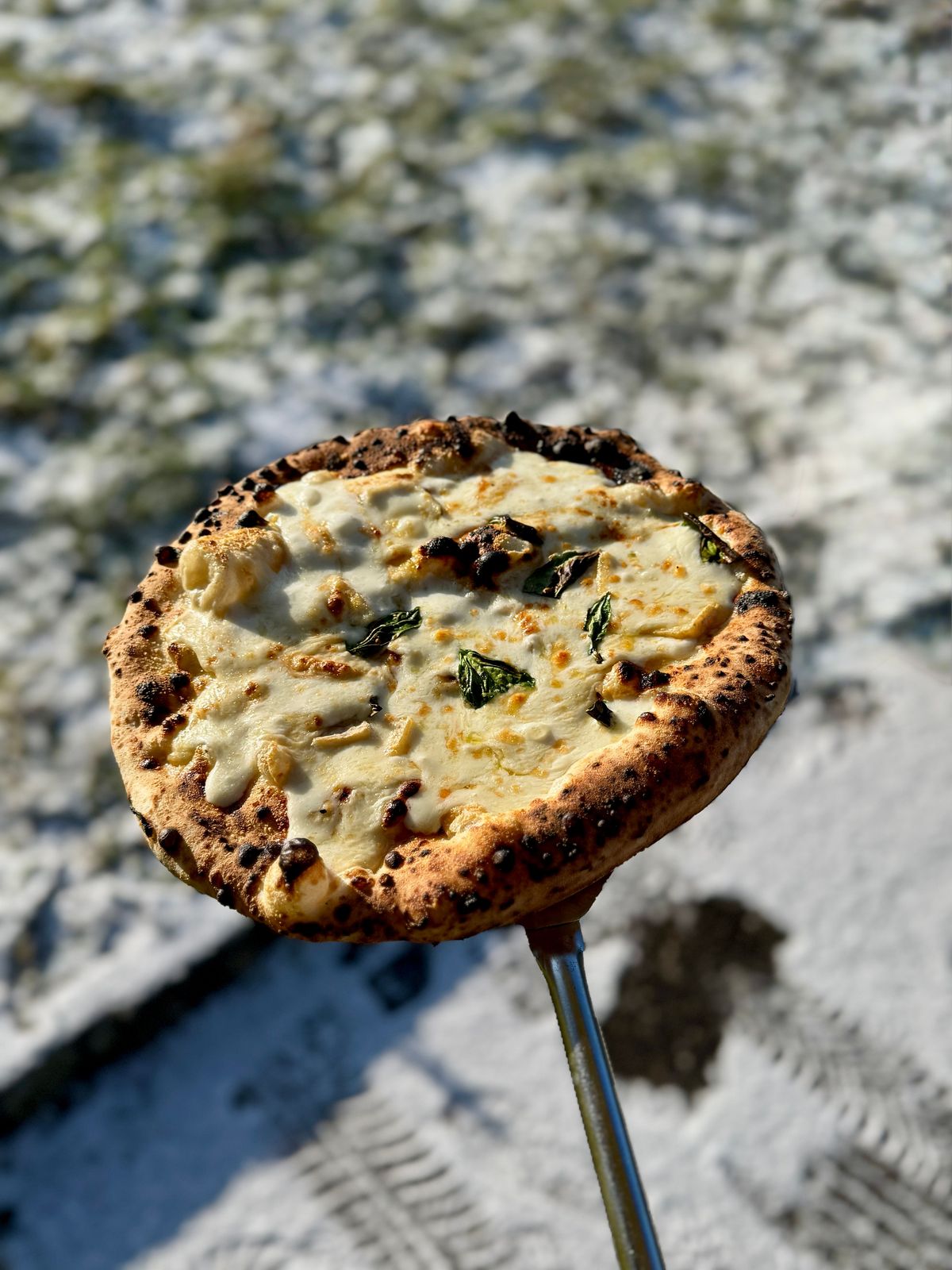 Pizza sur la pelle, vue de dessus