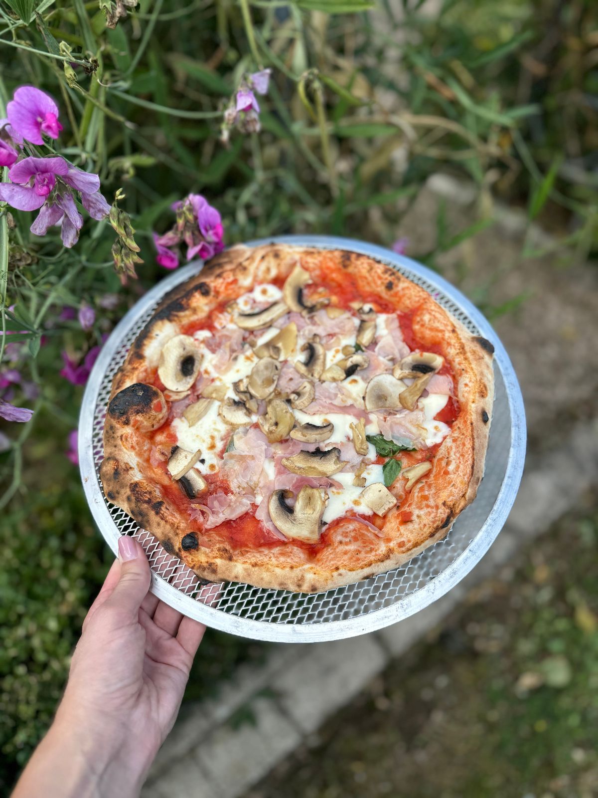 Pizza aux champignons