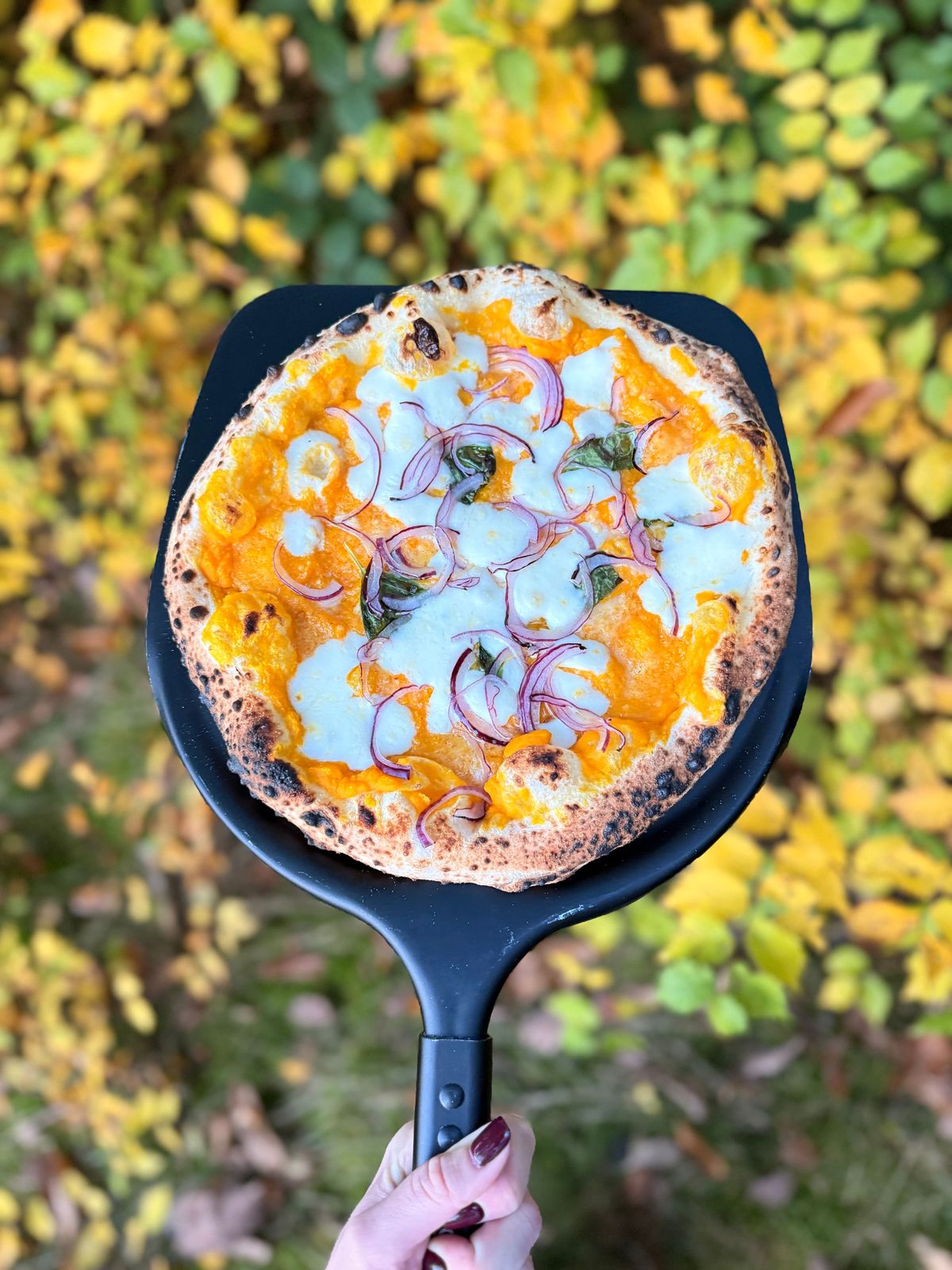 Pizza présentée sur une pelle